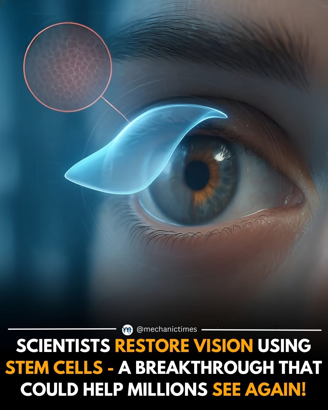 TechTimes - 👁️ Scientists Just Regrew Part of the Eye — and Brought ...