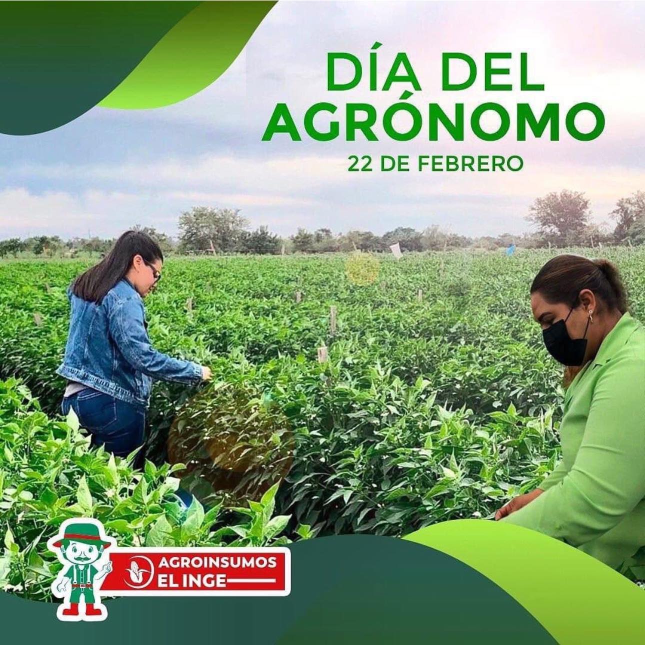 Agroinsumos “El inge”