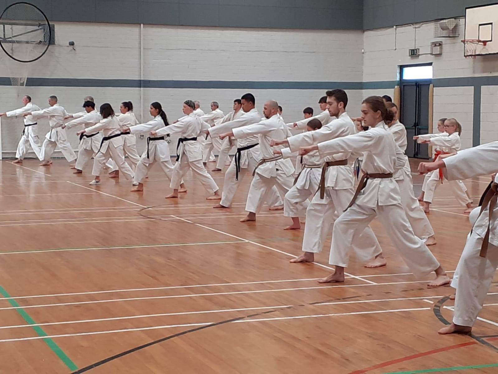 Rathcoole Karate Club | Rathcoole