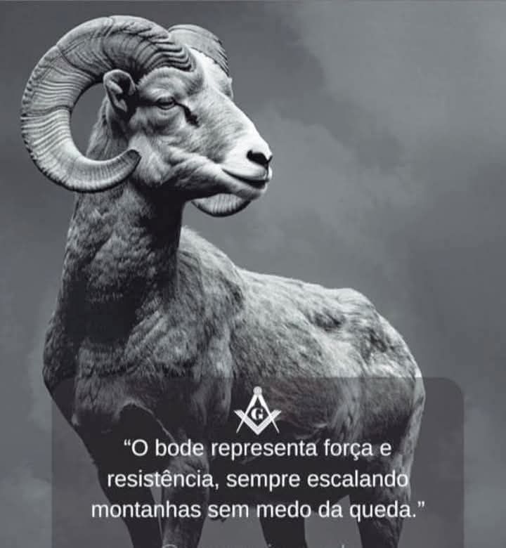 Federação - O BODE 🐐 A figura do bode possui significados diversos e ...