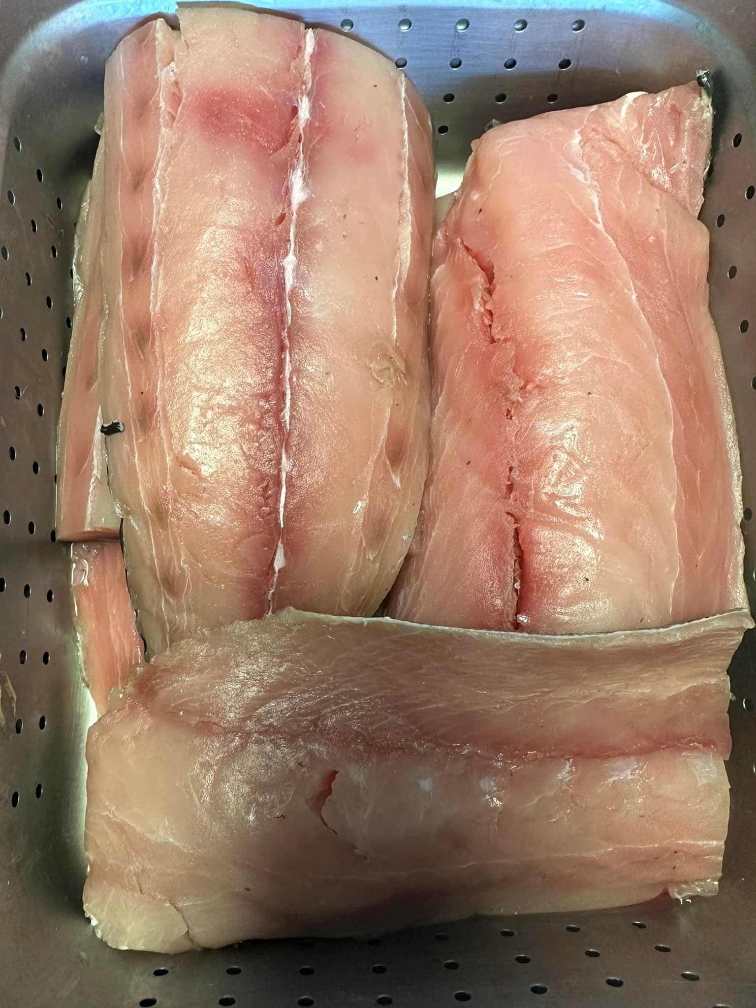 We have fresh Mahi Mahi & COD for... - The Fish House, LLC