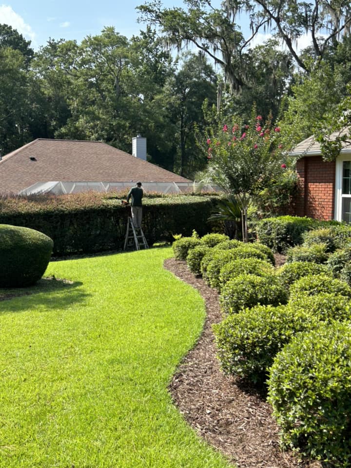 Torres Lawn Care and Landscaping LLC | Woodville FL