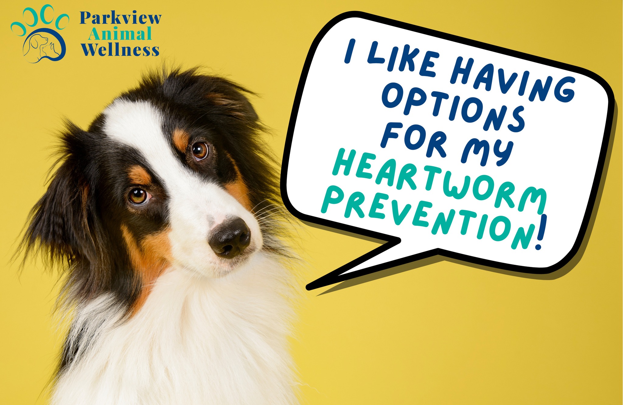 Photo inspiration: Picture Idea: Parkview Heartworm Disease Is A Serious Condition That Can Affect