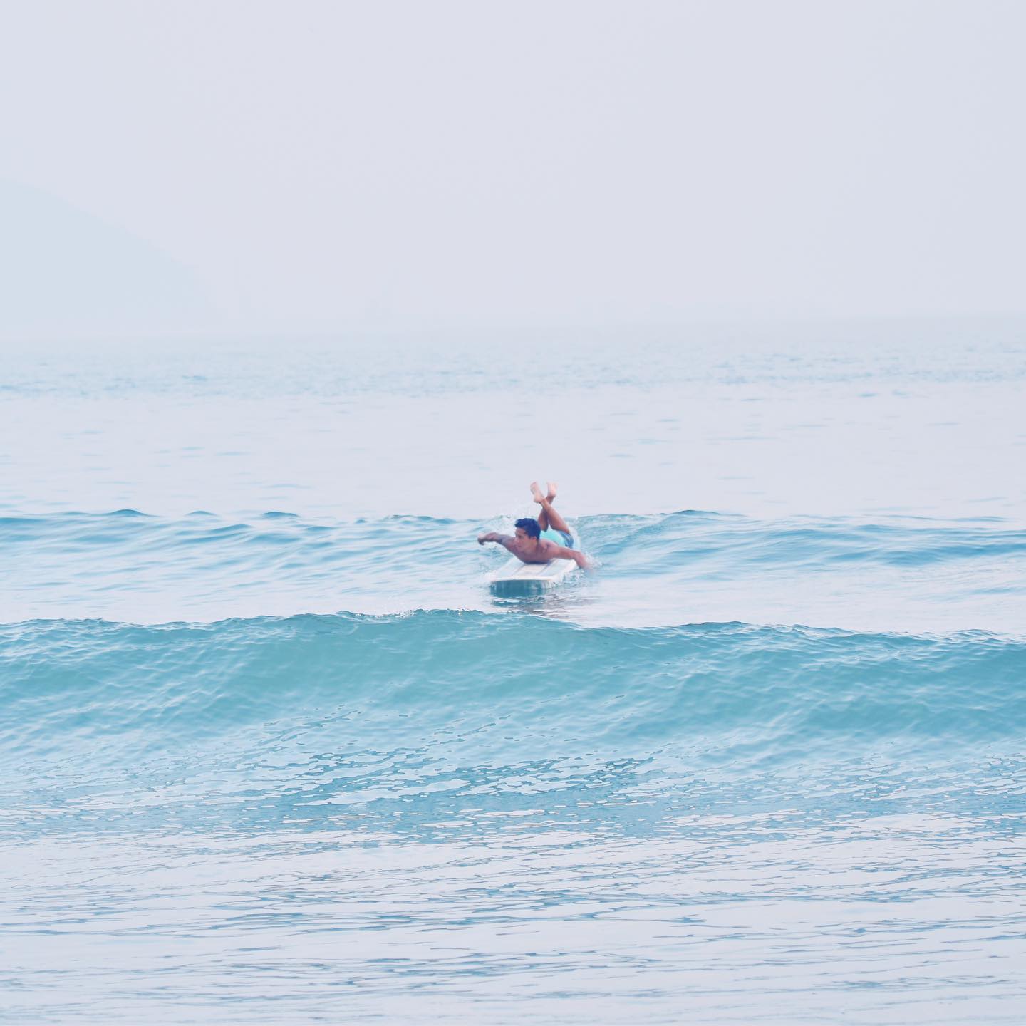 香港天然滑浪會 hongkong naturalsurf