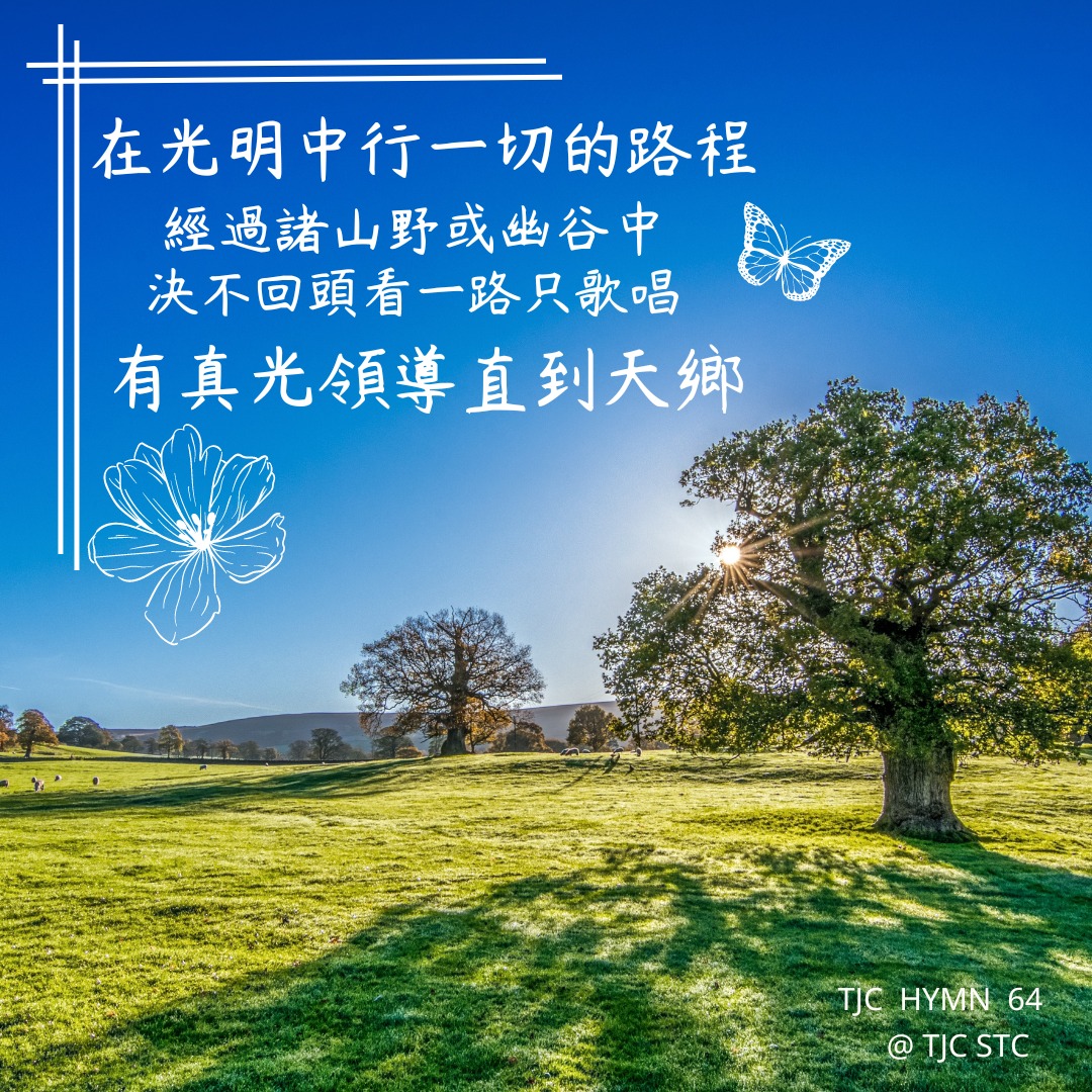 真耶穌教會南台中教會 - 我們得著生命的光了嗎？ [聖經] 耶穌又對眾人說， 我是世界的光； 跟從我的，...