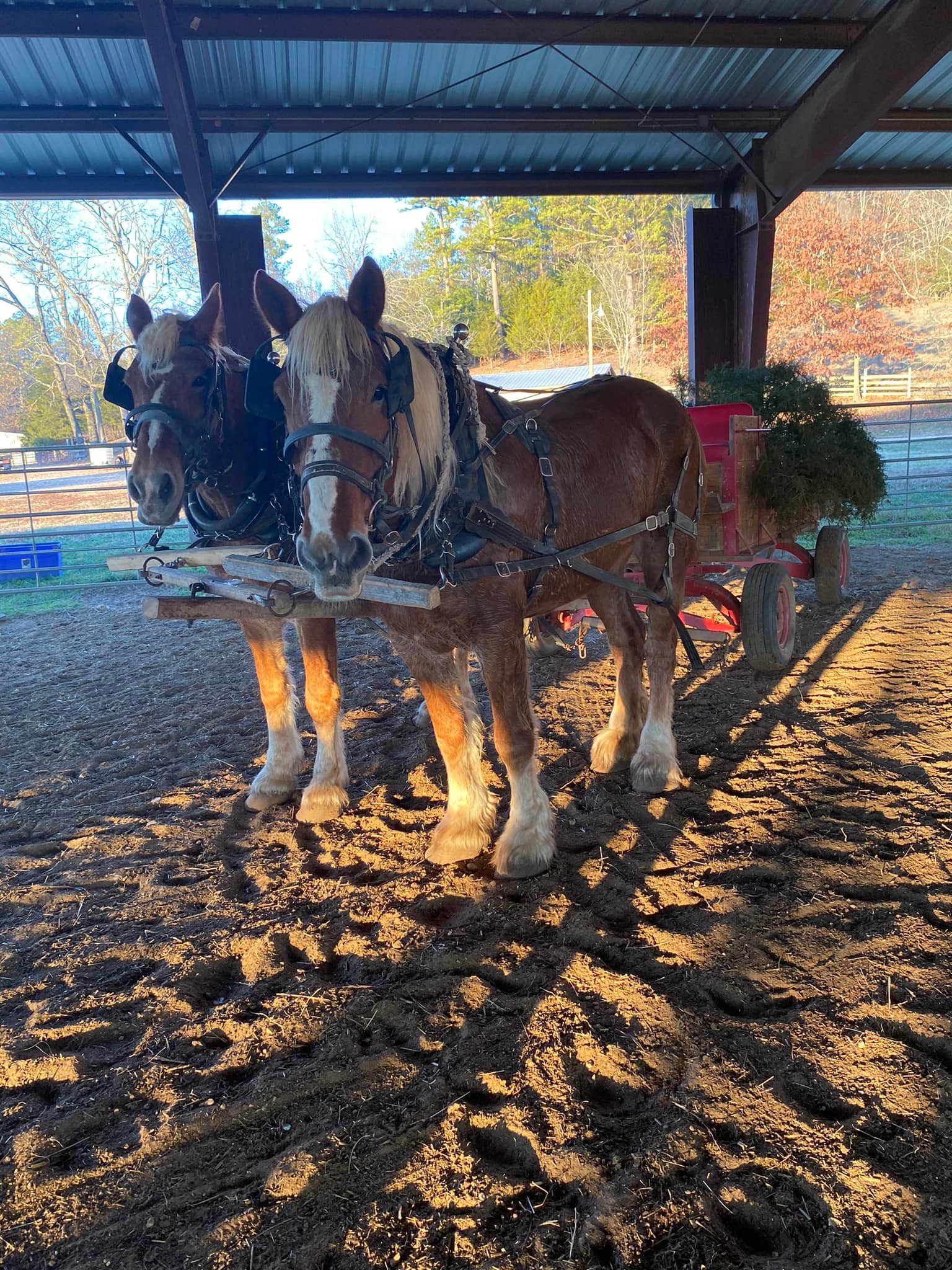 Valley Vision Ranch | Van Buren MO
