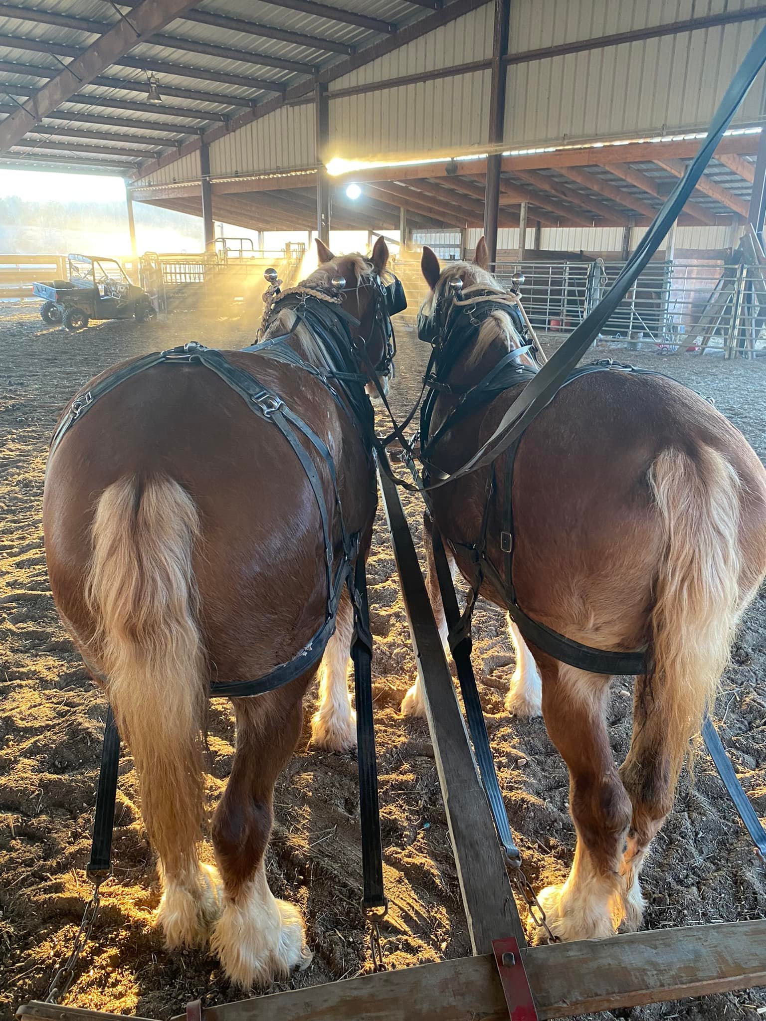 Valley Vision Ranch | Van Buren MO