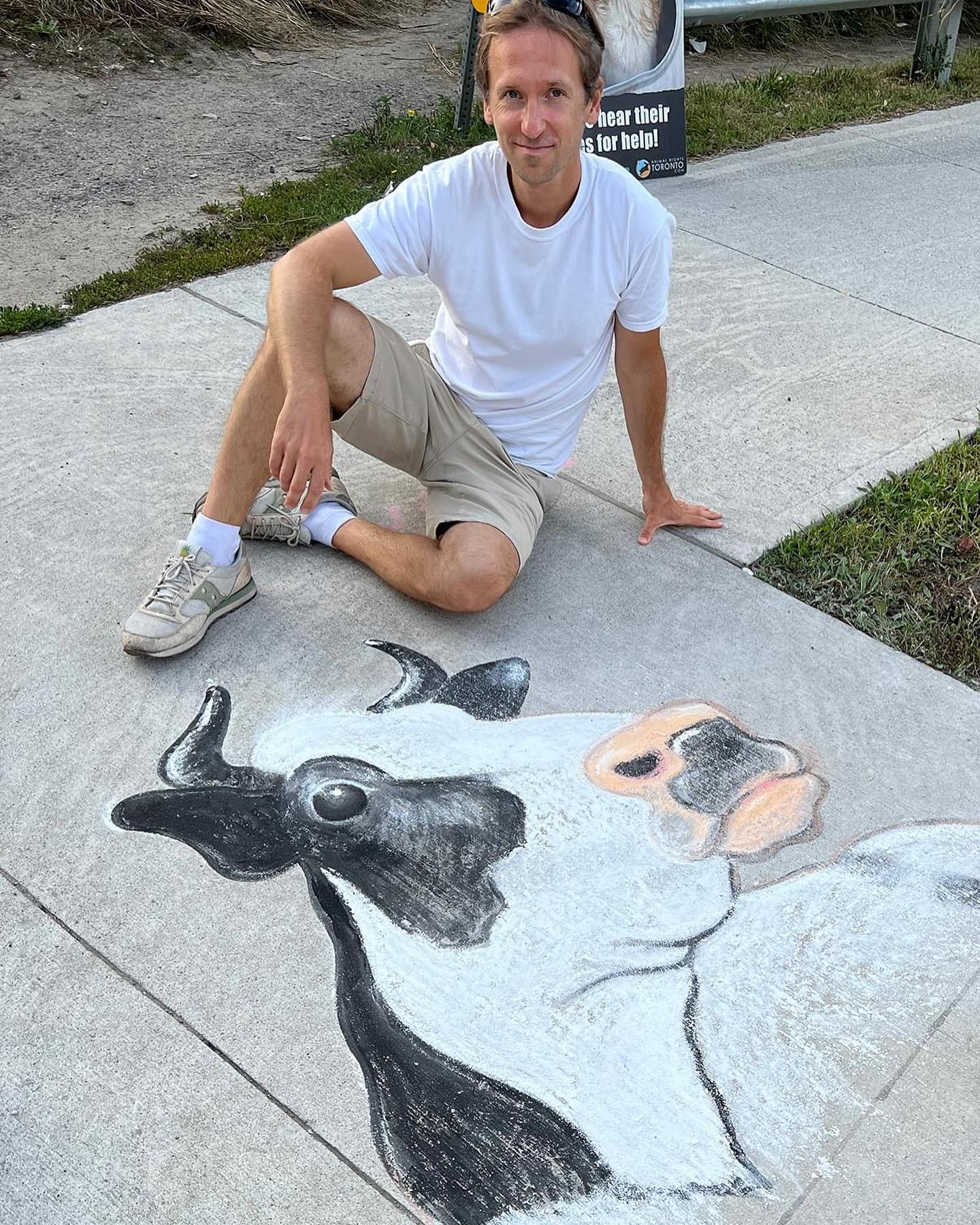 Postering & Sidewalk Art for the Cows