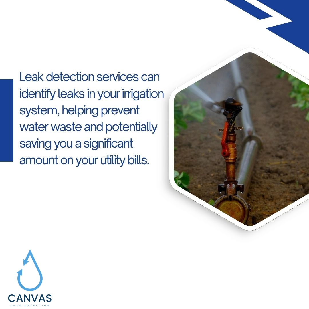 Detection Methods For Garden Irrigation System Leaks photo