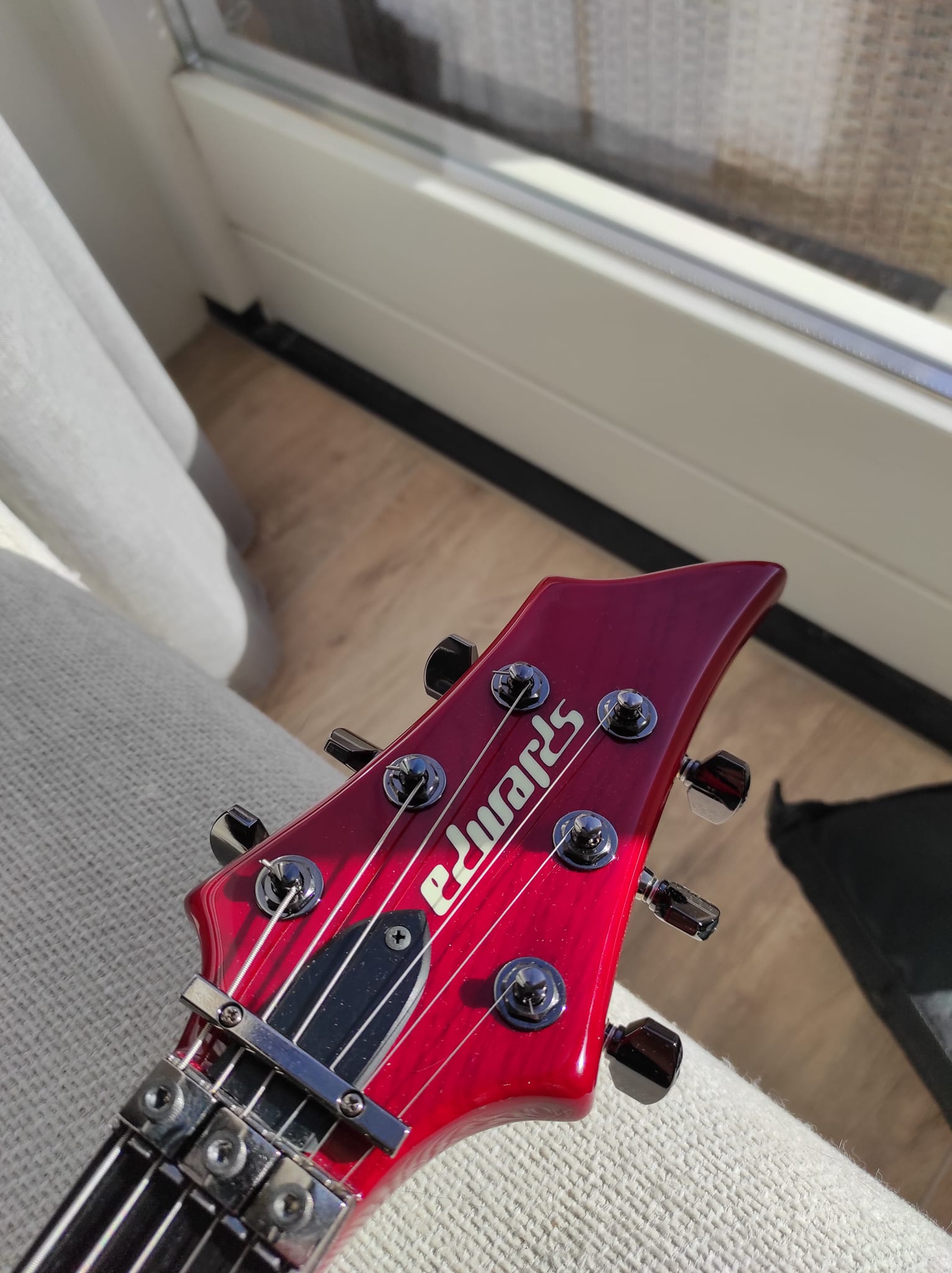 New guitar day: 2010 Edwards E-AN-137FR Antelope!
