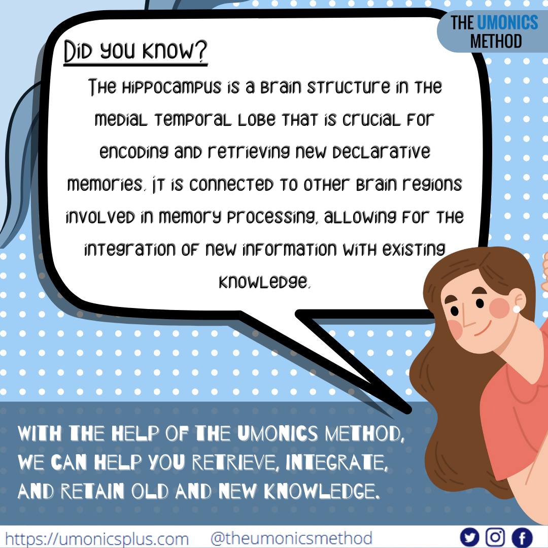 Did you know? The hippocampus is a... - The Umonics Method | Facebook