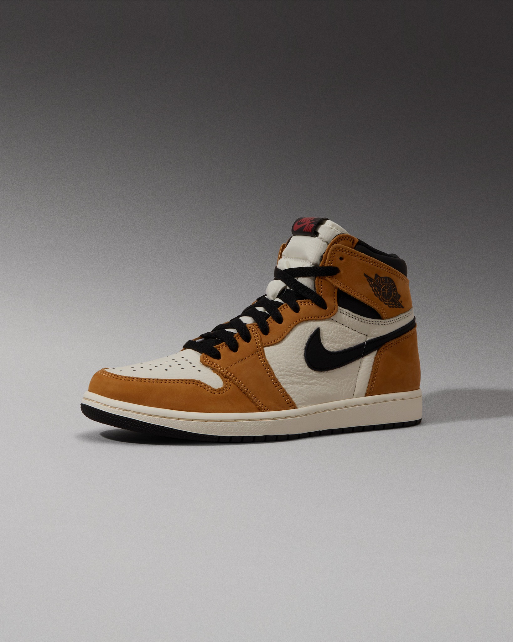 The Air Jordan 1 Retro Low OG 