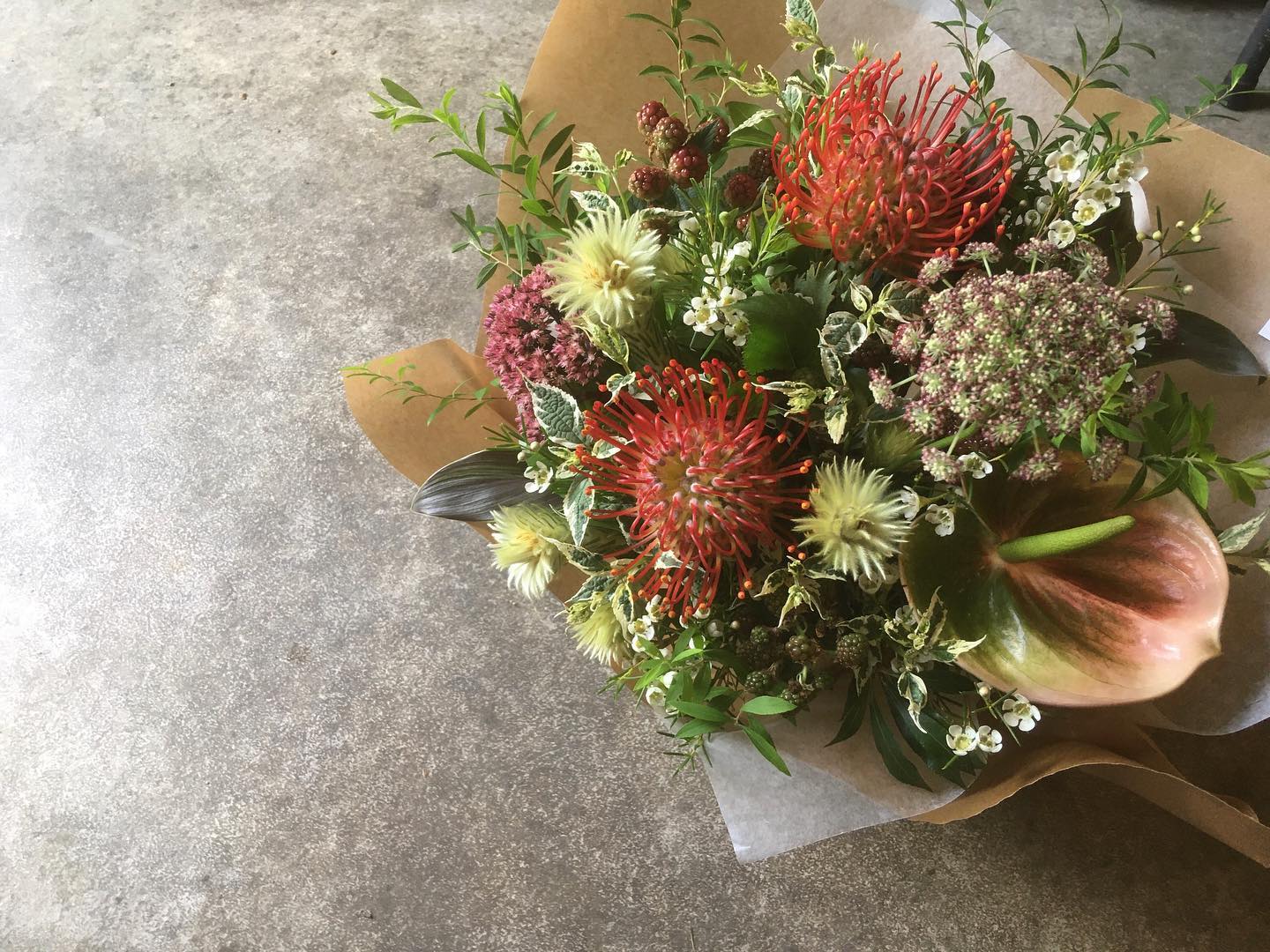 Sumika 花と植物 Home Facebook