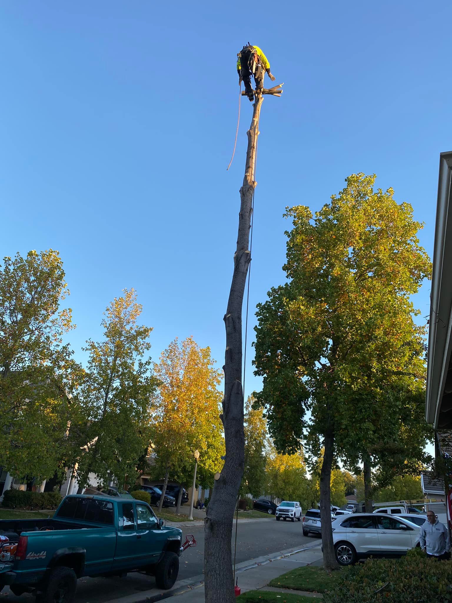 Antelope, Rio Linda And Elverta, Ca. | Donis tree services call or send ...