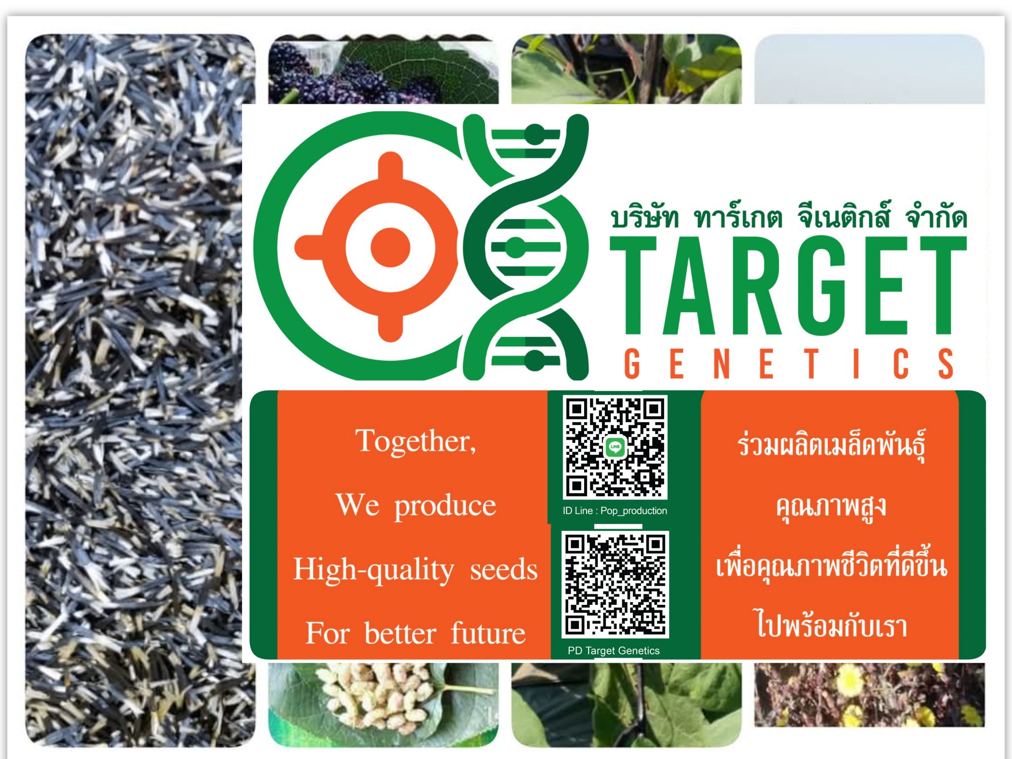 PD Target Genetics