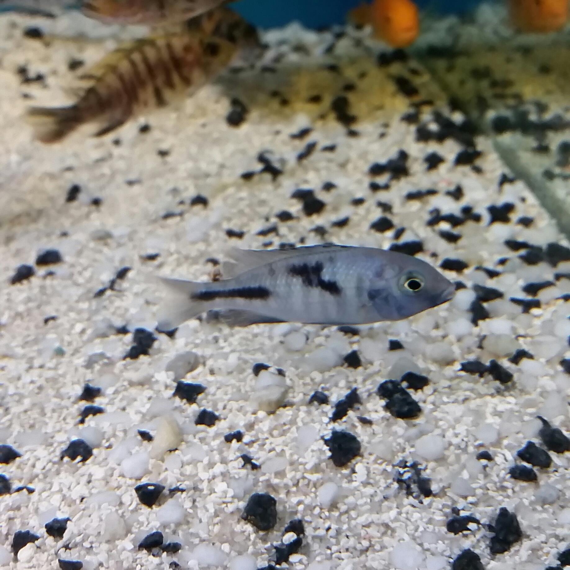 Select Fish | Adelaide SA