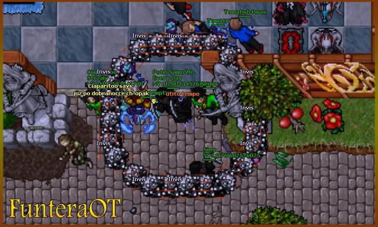 RealValorian Open Tibia Server