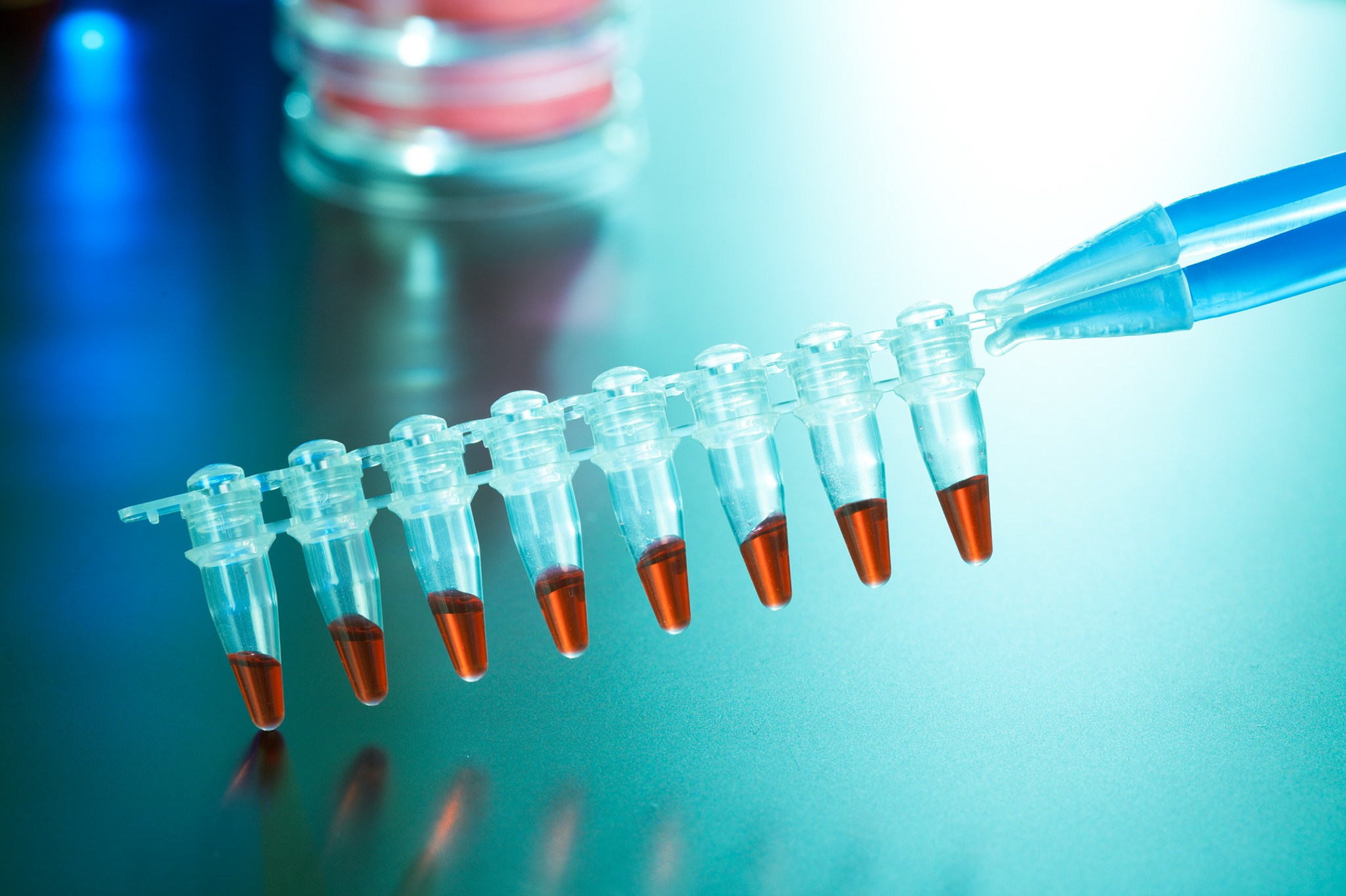 Cambridge - Efficient. Accurate. Convenient. Our Multiplex PCR panels ...