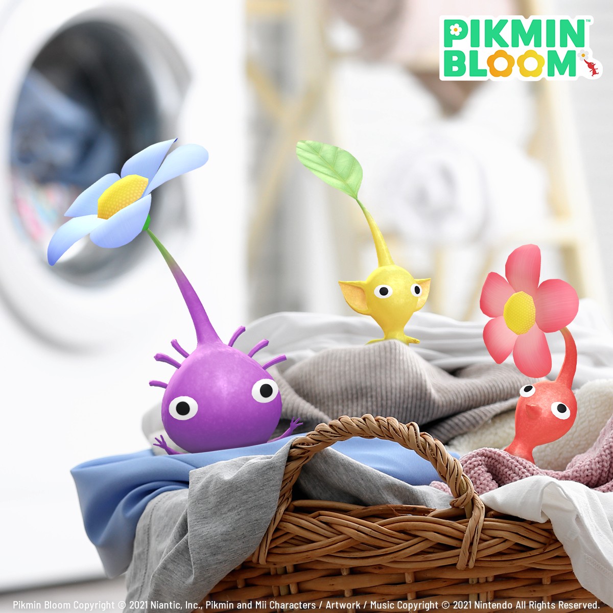 Heading to the laundromat? 🧺 You may wanna check around for  display picture 1