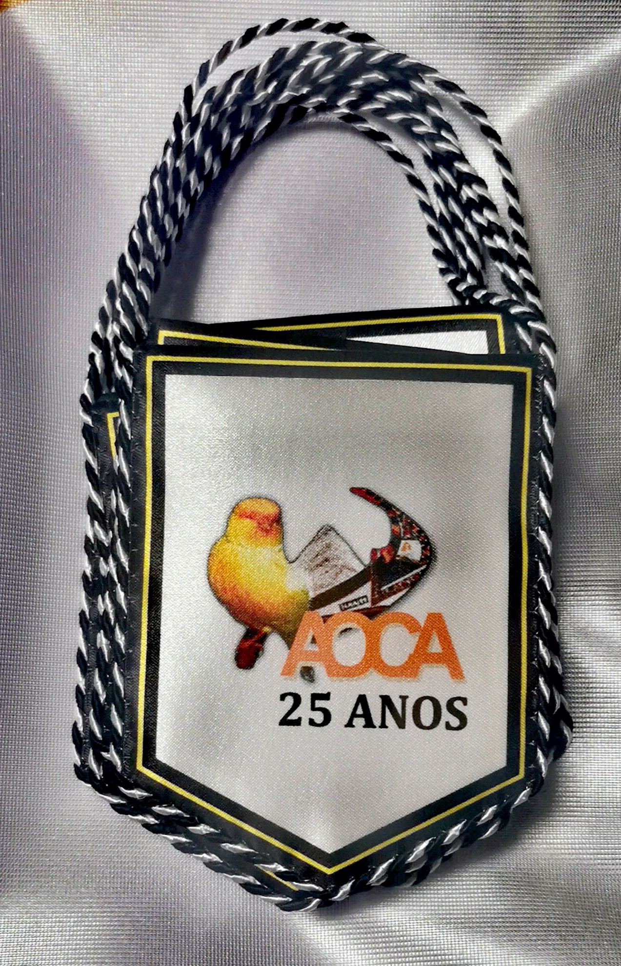 AOCA | Gafanha da Boa Hora