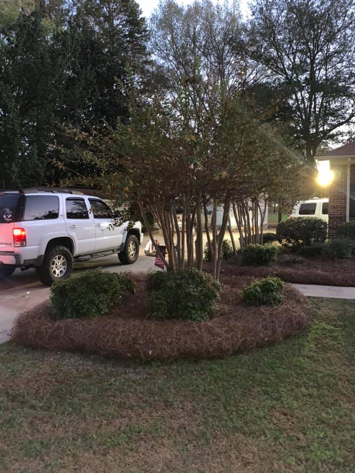 Superior Landscape Services | Rock Hill SC