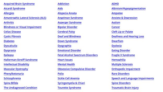 Governor's - Understanding different types of disabilities is key to ...