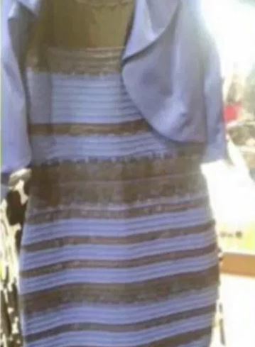 REMEMBER THIS PHOTO| In 2015, a photo of a dress sharply divided the internet over its perceived color. Some say the dress is black and blue while others say it's white and
