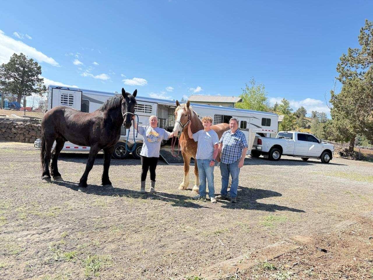 Gallery Detail: Discover Ohio Horses