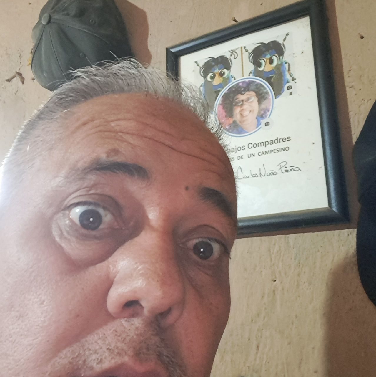 Escarabajos Compadres un tributo a la lucha libre, presenta la película ...
