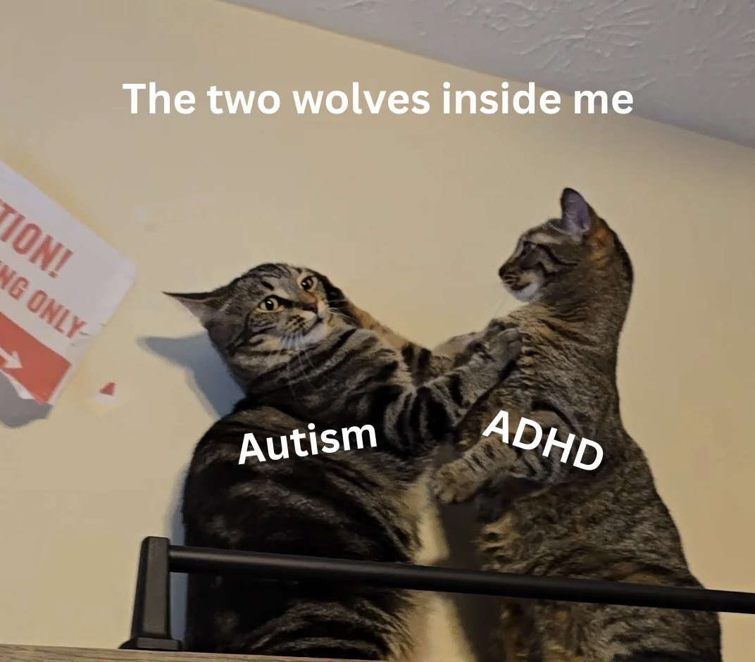 Autistic Comedy | memes with cats! | Facebook