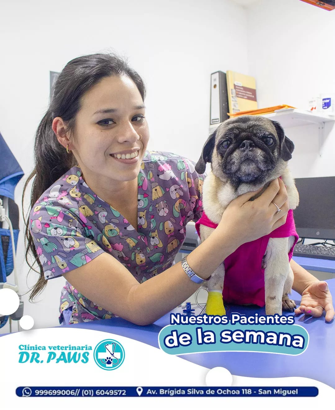 🐾 ¡Saludamos a nuestros... Clínica Veterinaria DR. PAWS