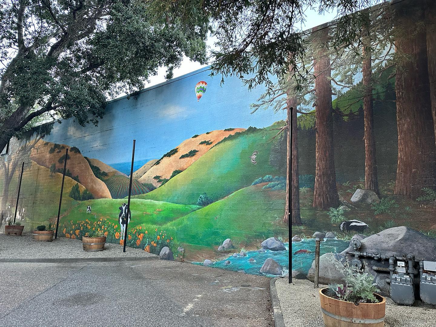 Stroll through the charming streets of... - Visit Santa Rosa