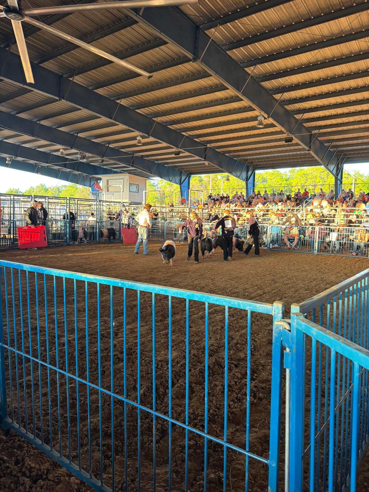 CRMS FFA