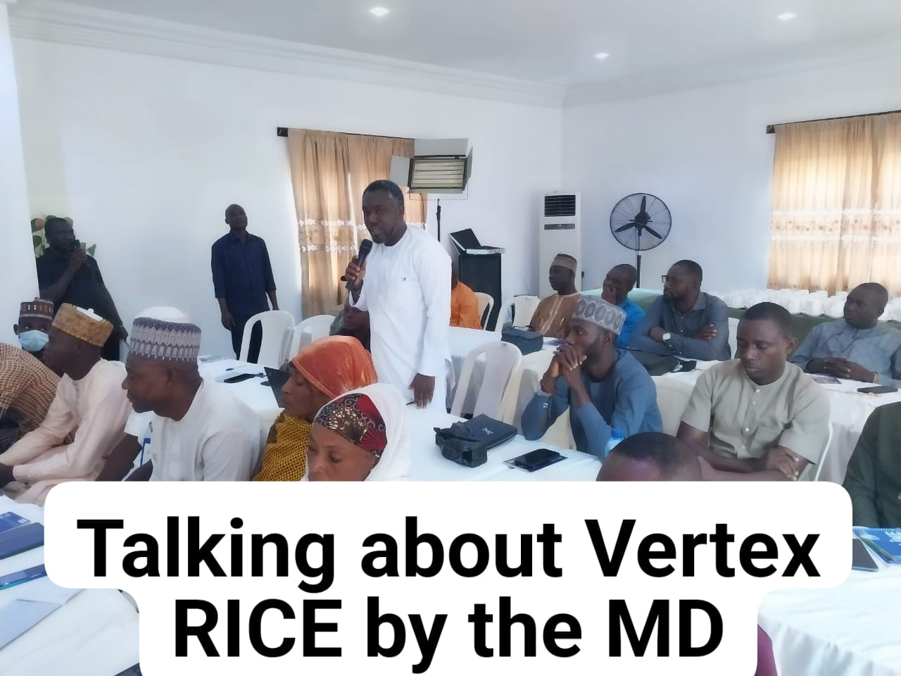 Vertex RICE | Ibadan Outlying