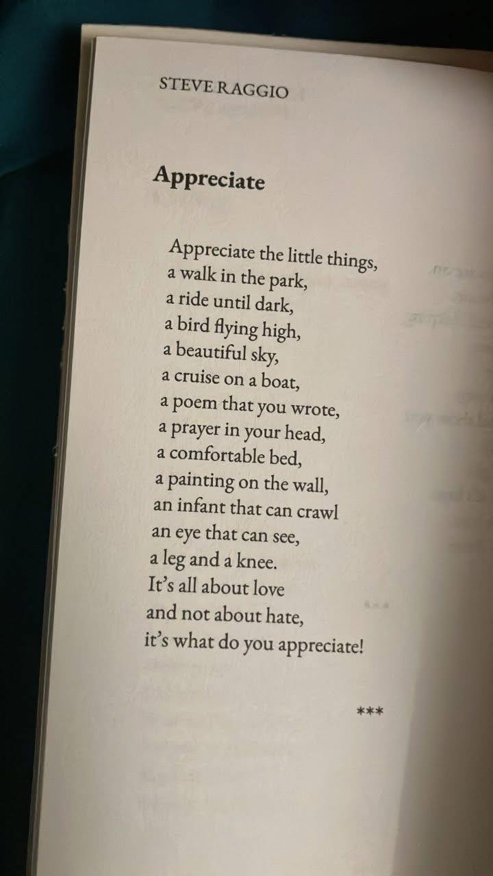 STEVE STEVERAGGIO RAGGIO Appreciate Appreciate the little things, a ...