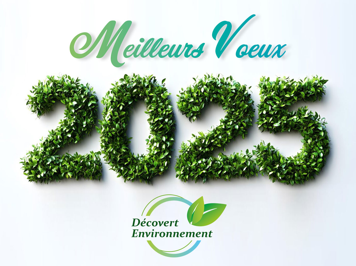 Décovert - 🌿 Bonne année 2025 ! 🌍 Toute l’équipe de Decovert ...