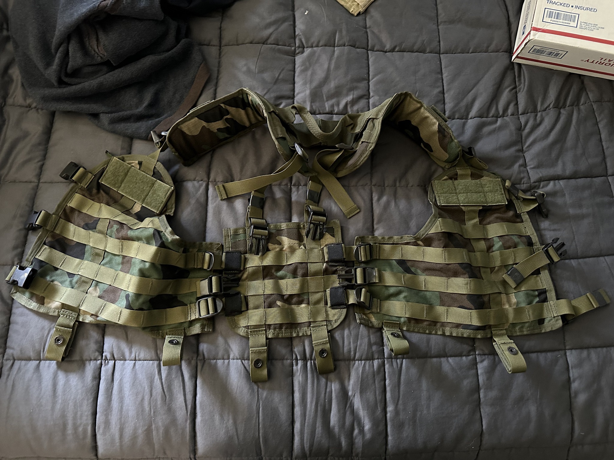 Dating this SOE Modular Patrol Vest display picture 1