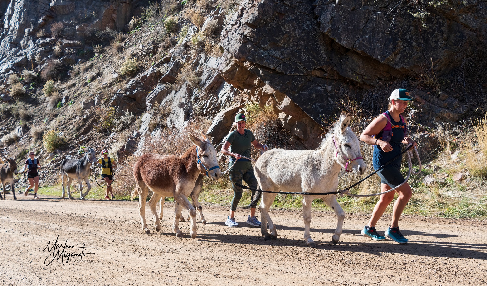 Last summer I fulfilled a longtime dream by racing a pint-sized 