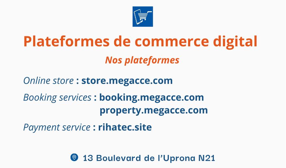 Mega - This is our e-commerce project. We are building different e ...