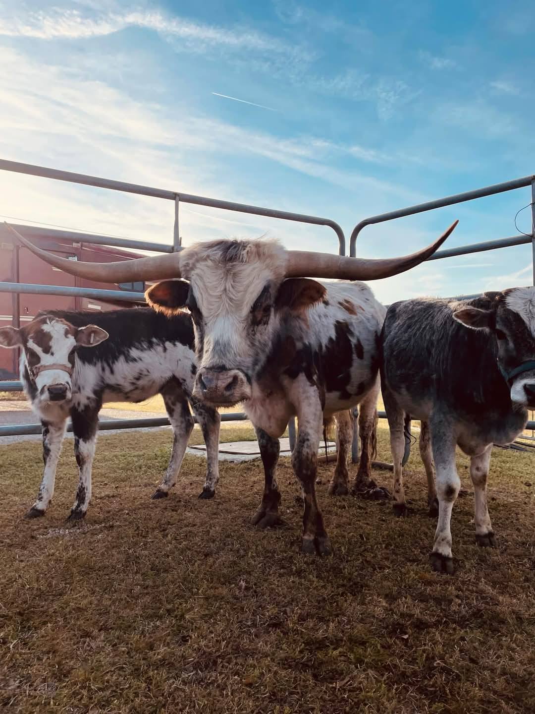 Big M Ranch | Elizabethtown NC