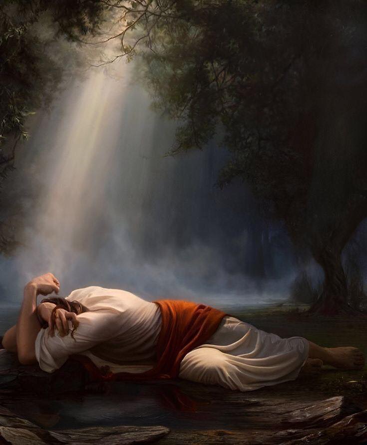 What Happened to Jesus in the Garden of Gethsemane: Unveiled Truths