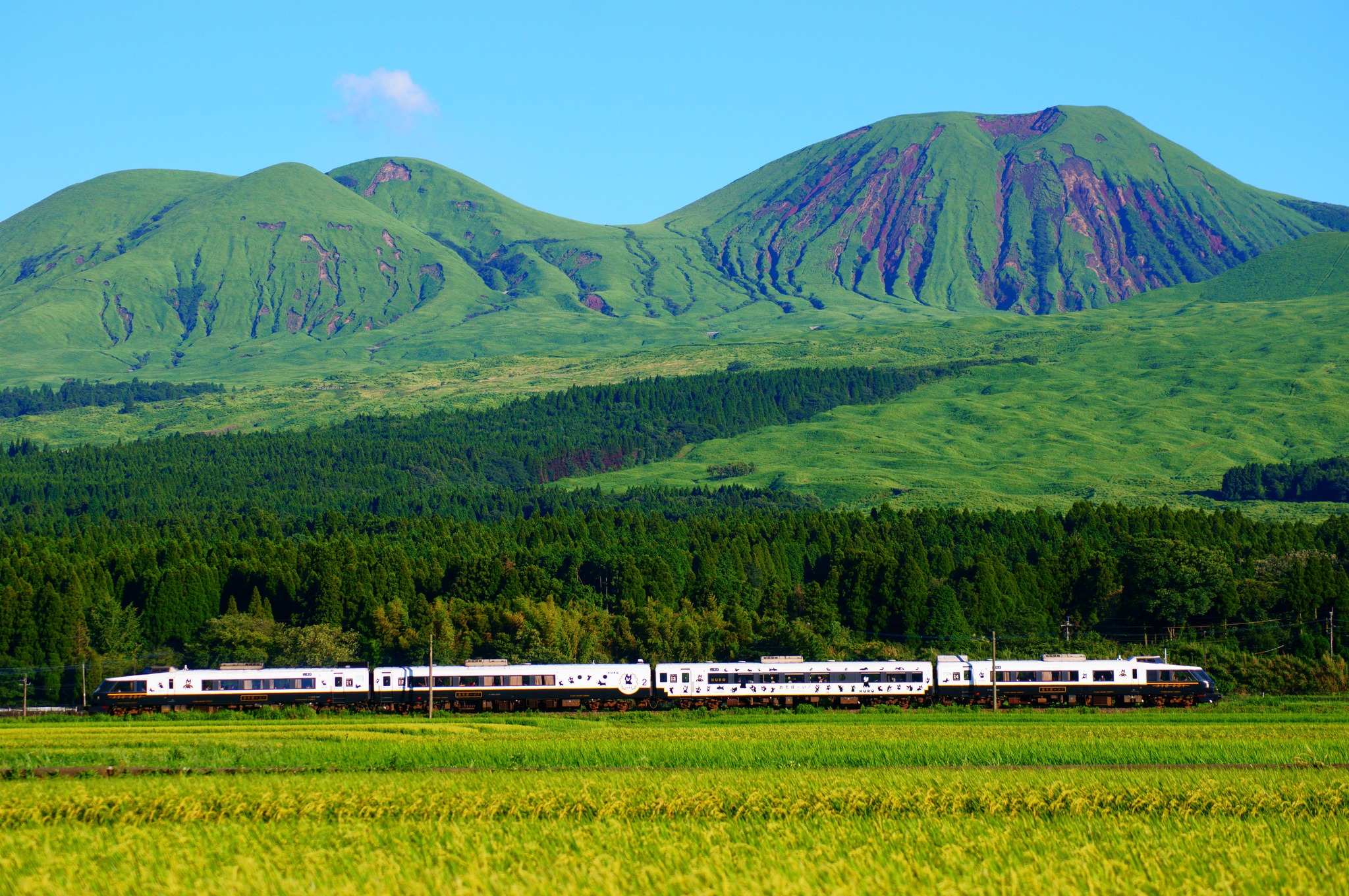 ✨🚂 All Aboard the Aso Boy! 🚂✨ 📍Aso Boy! (あそぼーい！) Let's