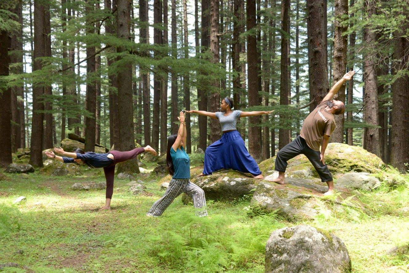 Whitney Handrich Wellness