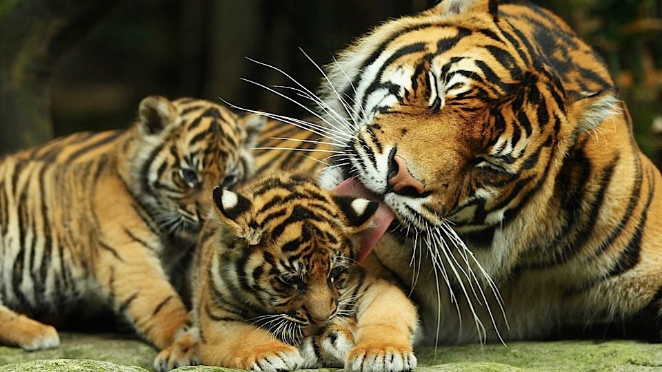 Arlington Lamar Class of 76 (and those close by) | Facebook