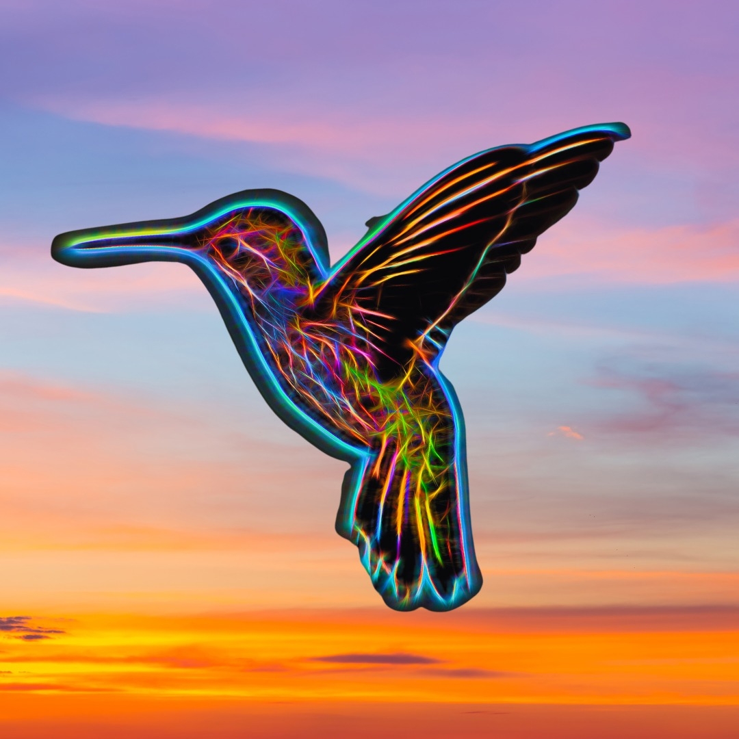 The Hummingbird Podcast