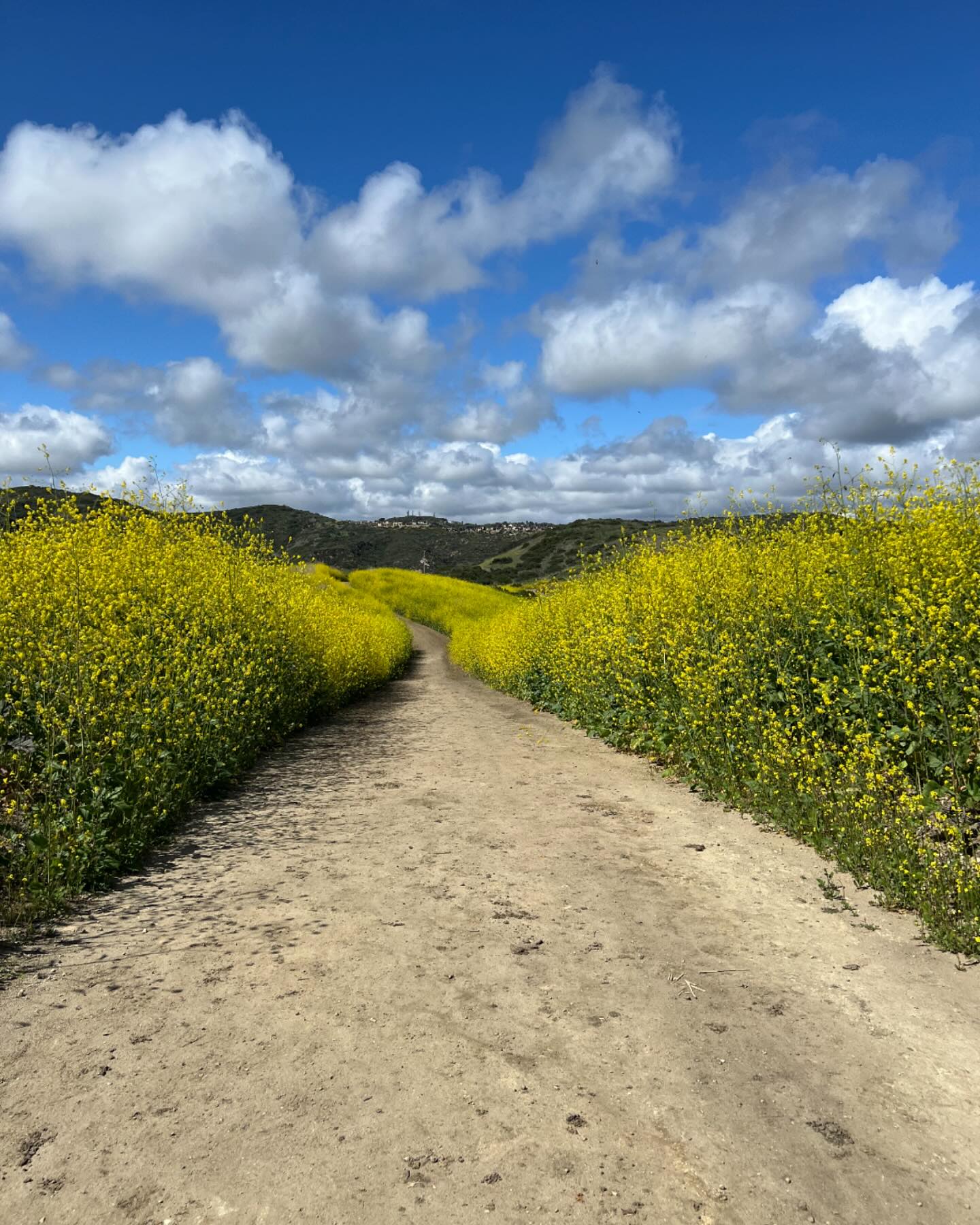 officialmodernprairie - There’s something sacred about a quiet path ...