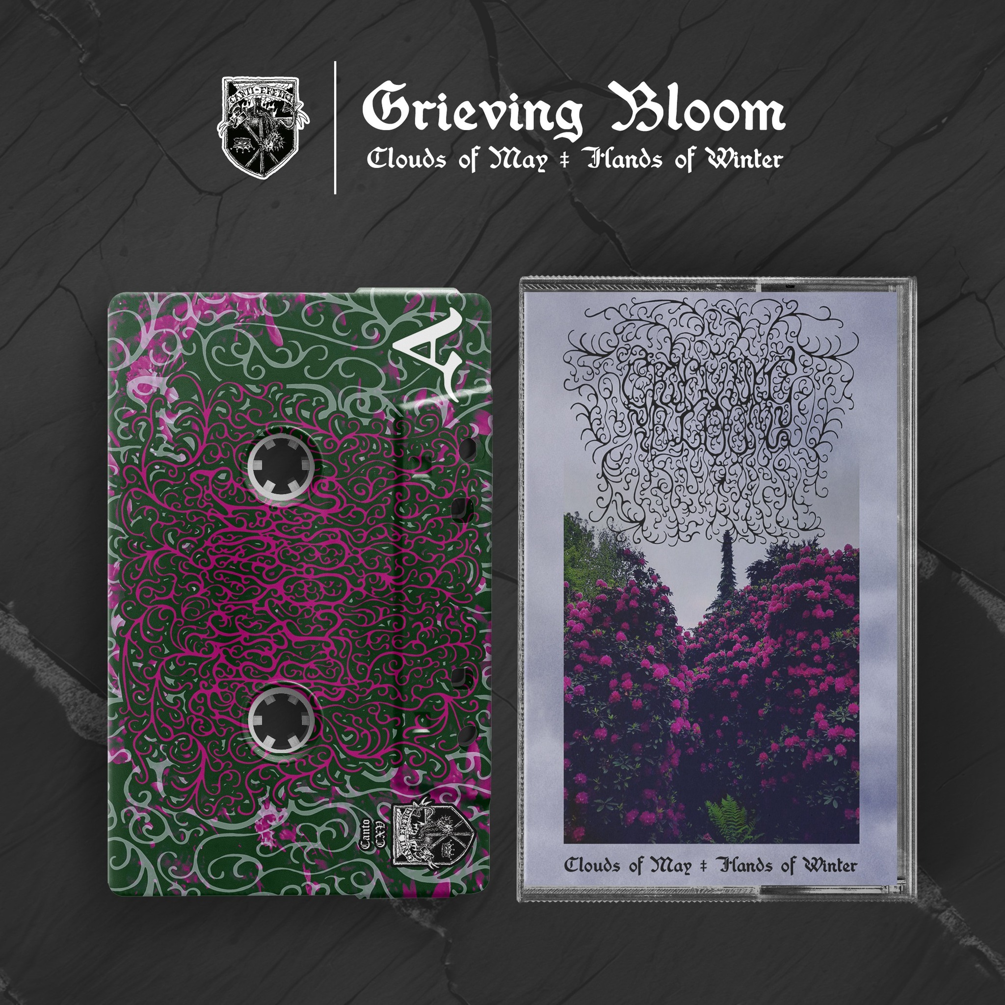 INK WARUNTORN : bloom.EP CD & LP available now (11/9)