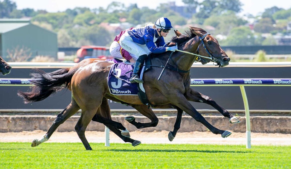 Simon Miller Racing | Ascot WA