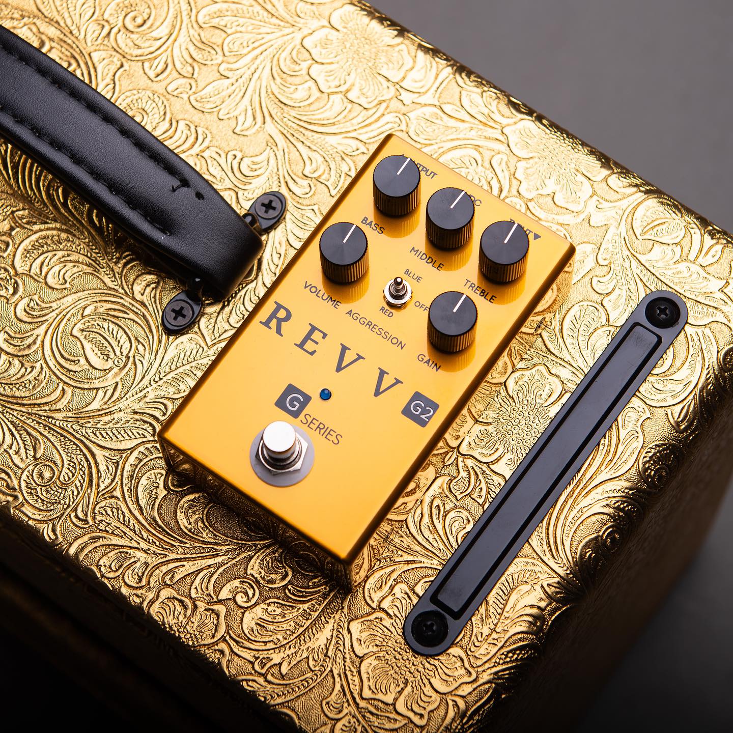 ギター REVV G2 Limited Edition GOLD Revv G2 Limited Edition Gold Pedal Mistake