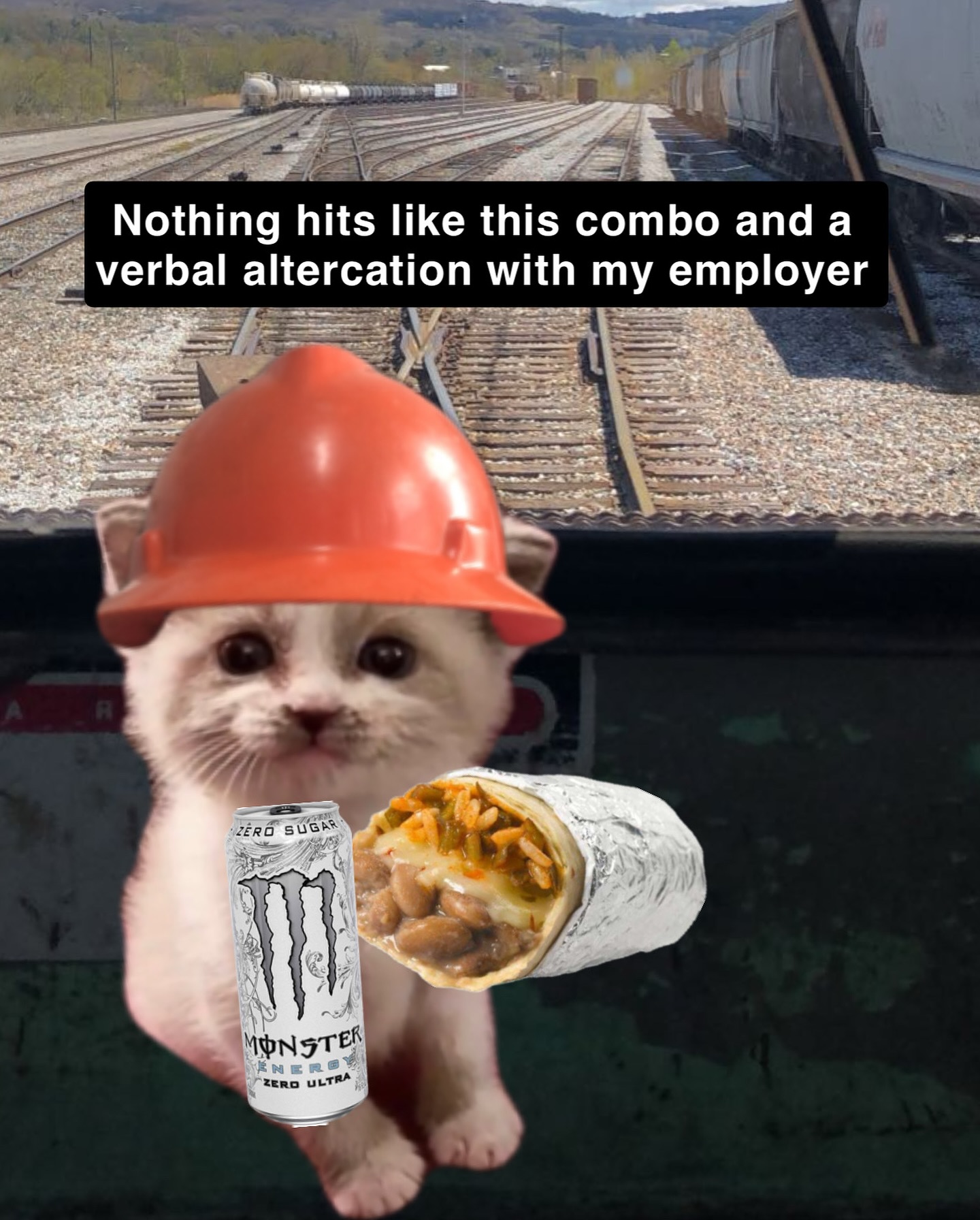 Catswithhardhats - Real #memes #heavyequipment #meme #skilledlabor # ...